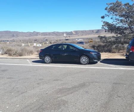 Avis Car Rental