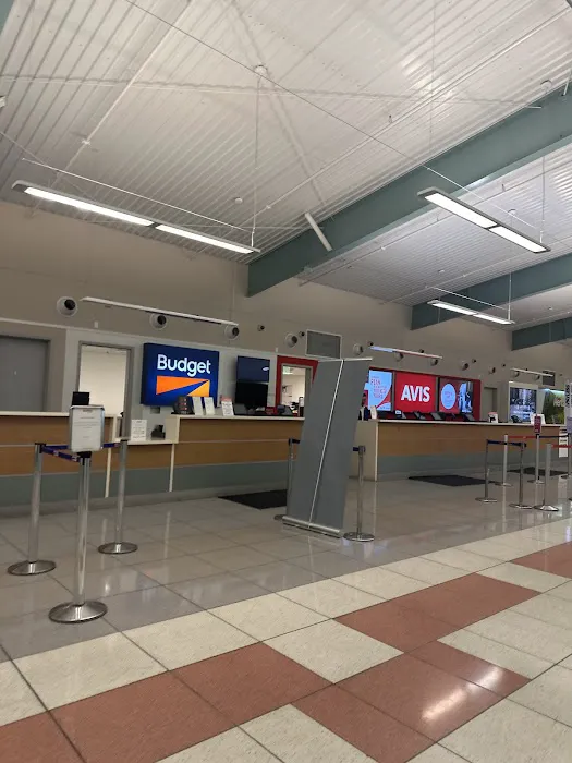 Avis Car Rental Picture 4