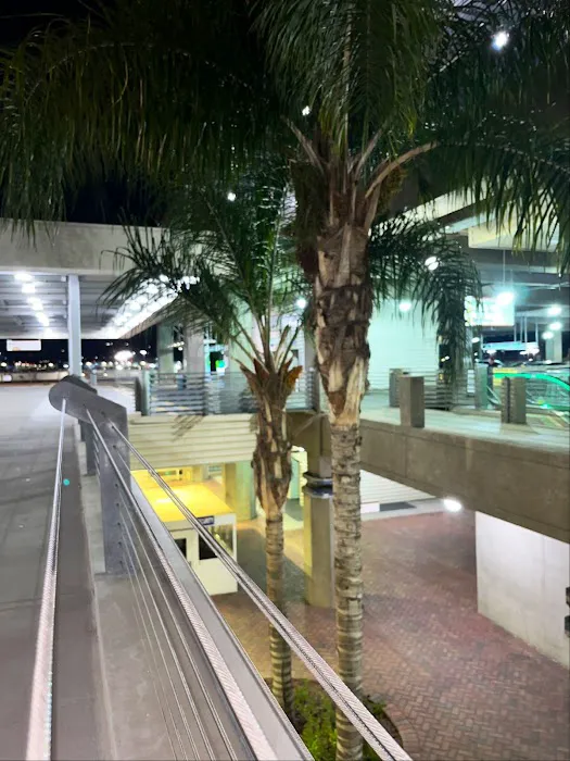 Avis Car Rental Picture 5