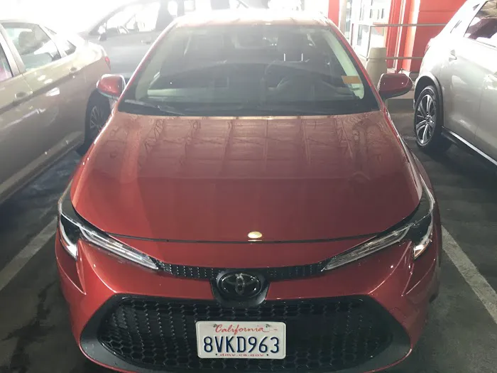 Avis Car Rental Picture 8