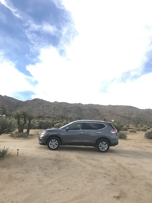 Payless Car Rental Picture 3