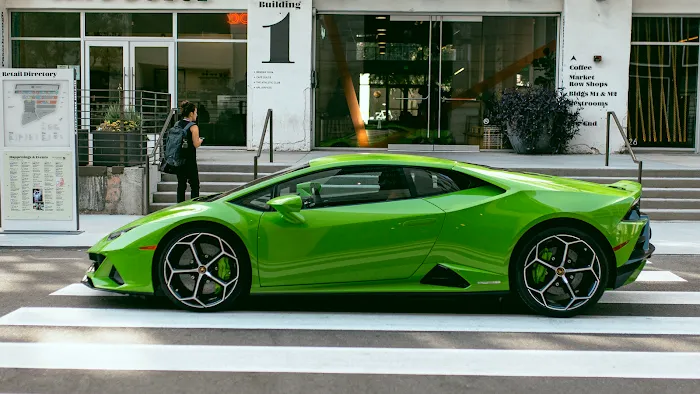 VEM Exotic Rentals Picture 3