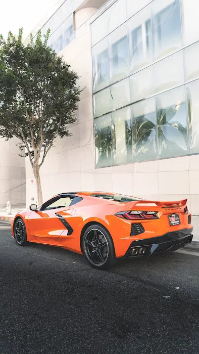 VEM Exotic Rentals Picture 2