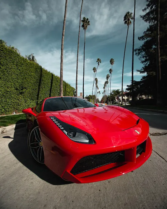 VEM Exotic Rentals Picture 1