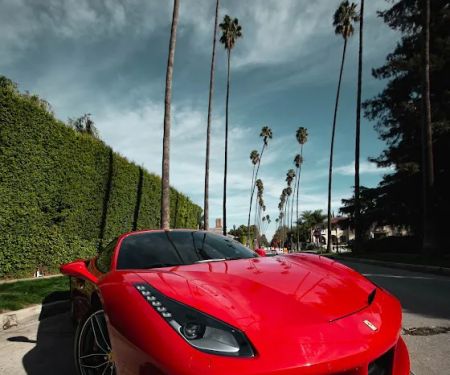 VEM Exotic Rentals