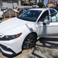 Avis Car Rental ico