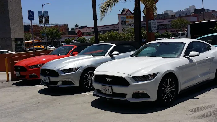 Avis Car Rental Picture 5