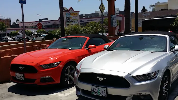 Avis Car Rental Picture 10