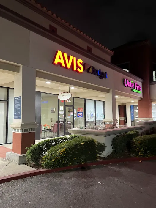 Avis Car Rental Picture 2