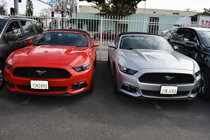 Budget Car Rental Picture 3