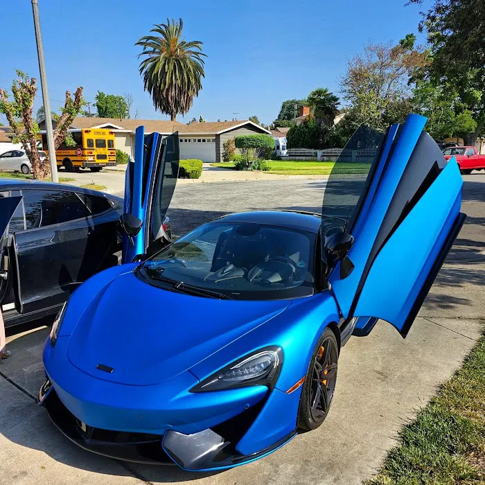 First Class Exotics Picture 4