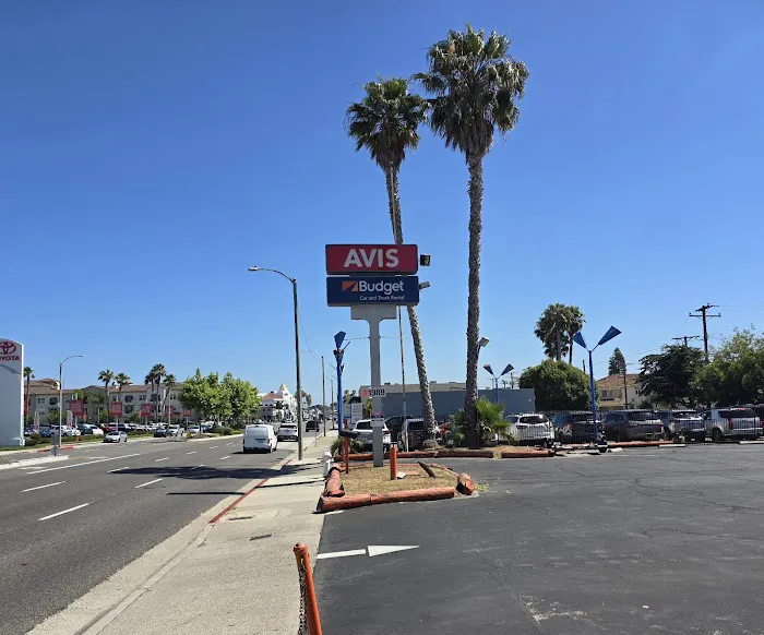 Avis Car Rental Picture 5