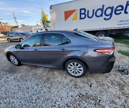 Avis Car Rental