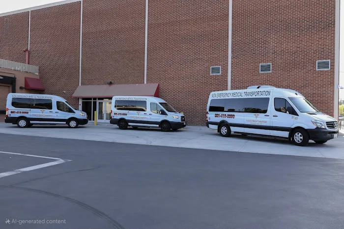 In and Out Medical Transportation Picture 1