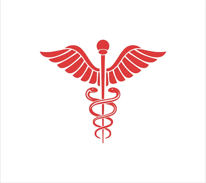 In and Out Medical Transportation Picture 4