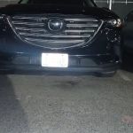 Avis Car Rental