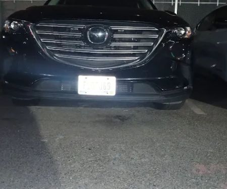 Avis Car Rental