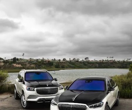 Jungle Exotics