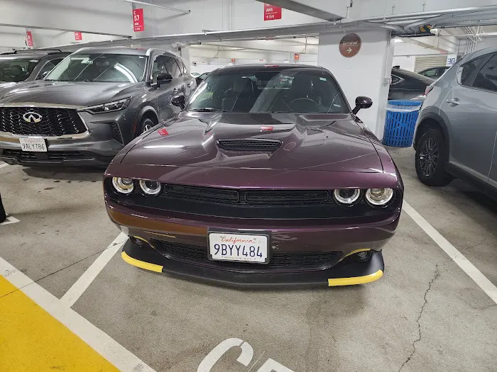 Avis Car Rental Picture 3