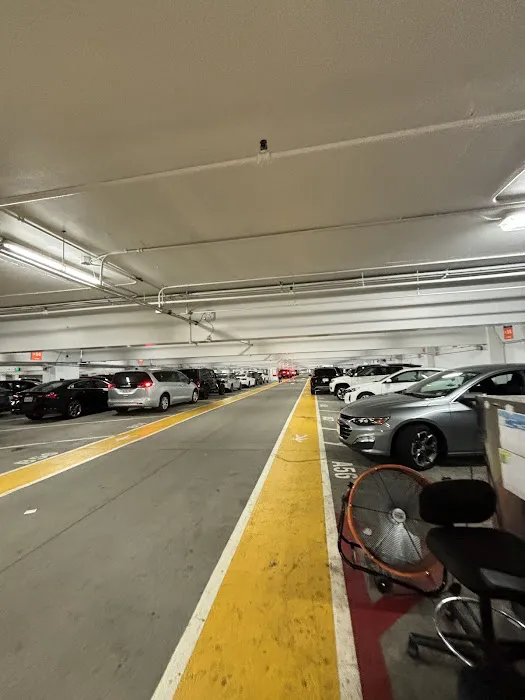 Avis Car Rental Picture 1