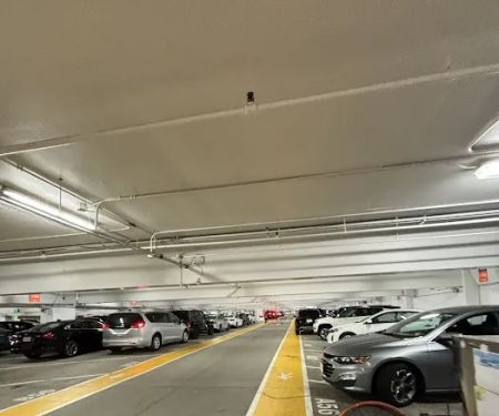 Avis Car Rental