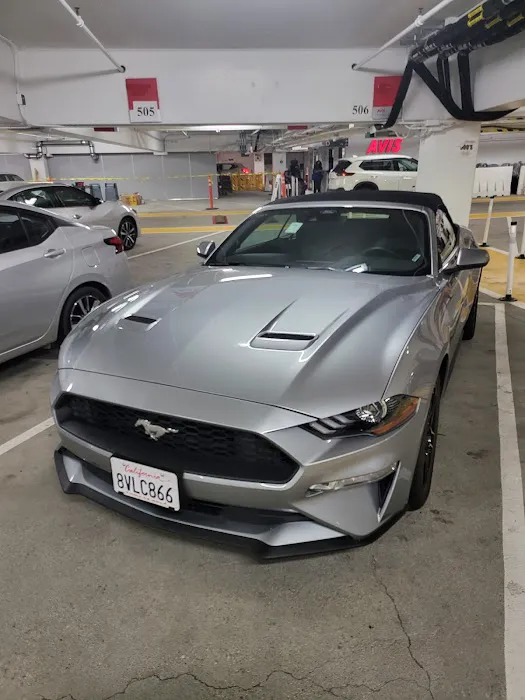 Avis Car Rental Picture 5