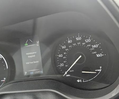 Avis Car Rental