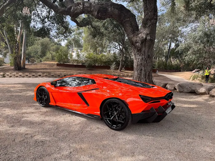 Kavalli Exotic Car Rentals Picture 1