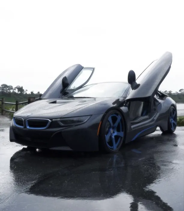 Kavalli Exotic Car Rentals Picture 5