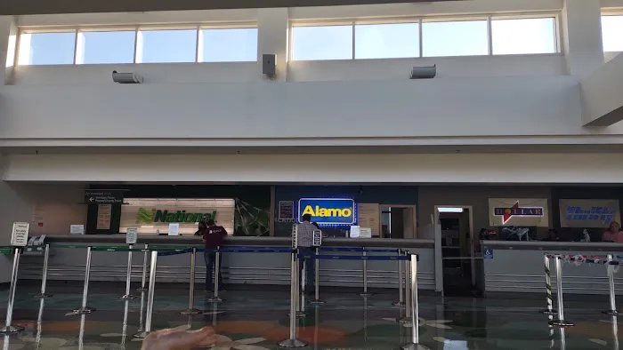Alamo Rent A Car Picture 3