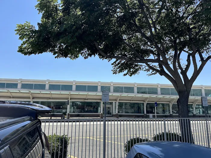 Alamo Rent A Car Picture 9