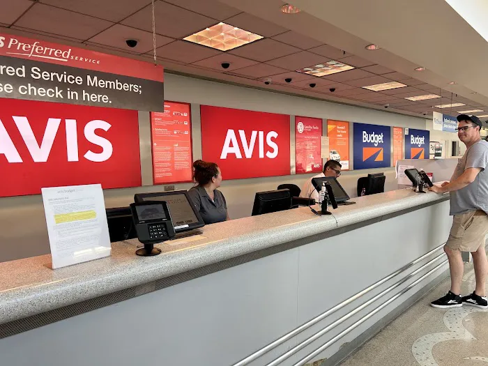 Avis Car Rental Picture 3