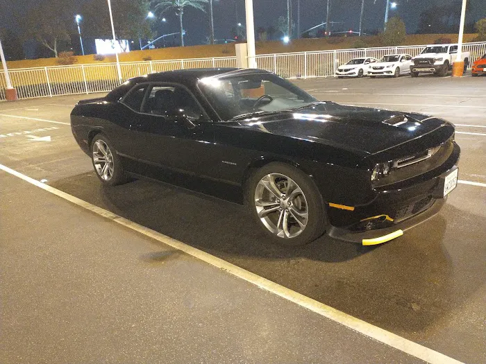 Avis Car Rental Picture 6