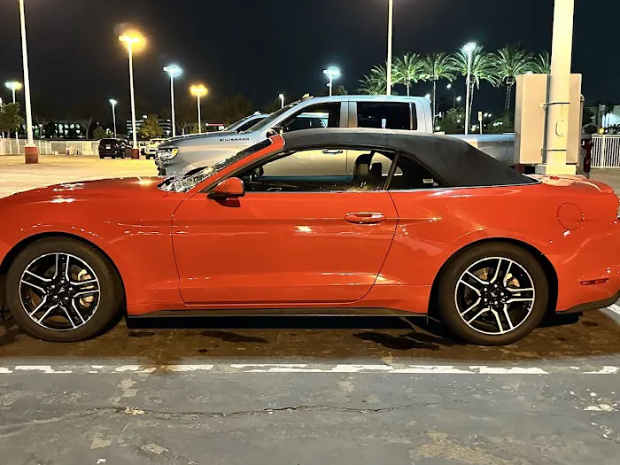 Avis Car Rental Picture 7