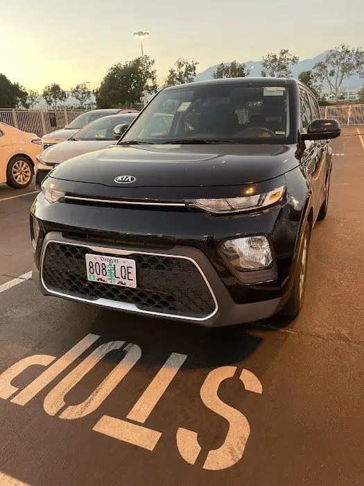 Budget Car Rental Picture 9
