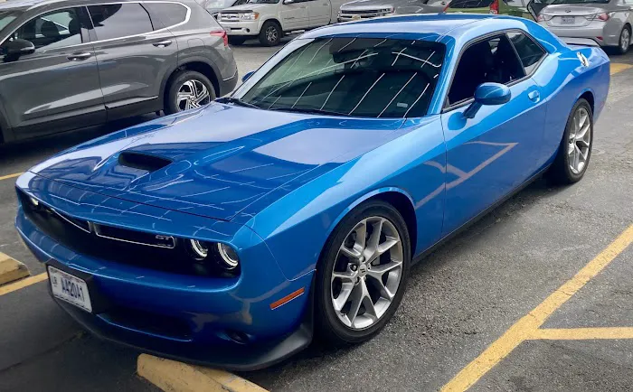 Alamo Rent A Car Picture 3