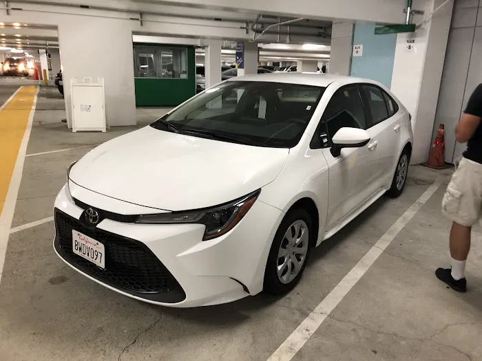 Alamo Rent A Car Picture 9