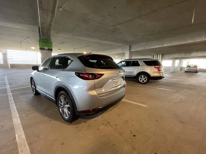 Alamo Rent A Car Picture 10