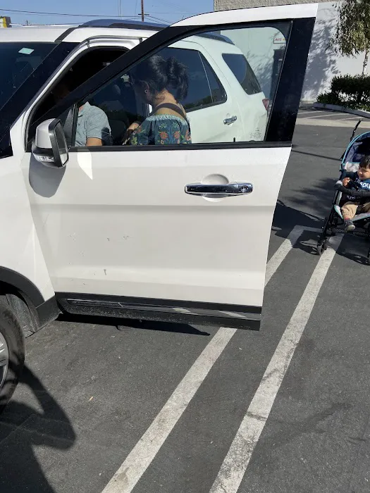Budget Car Rental Picture 4
