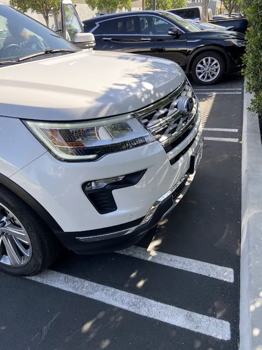 Budget Car Rental Picture 2