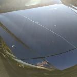 Avis Car Rental