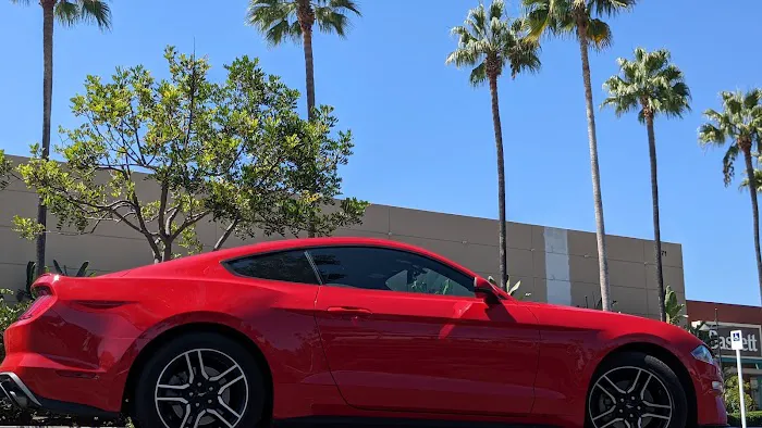 Avis Car Rental Picture 1