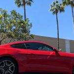 Avis Car Rental