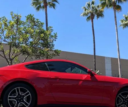 Avis Car Rental