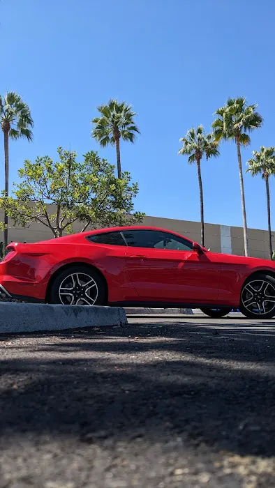 Avis Car Rental Picture 4