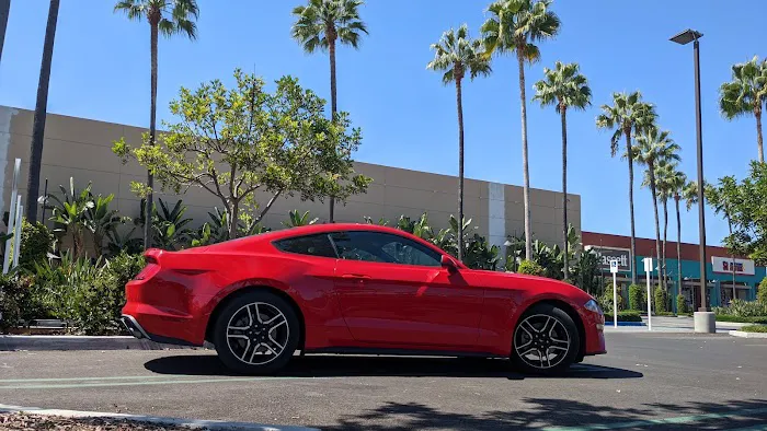 Avis Car Rental Picture 5