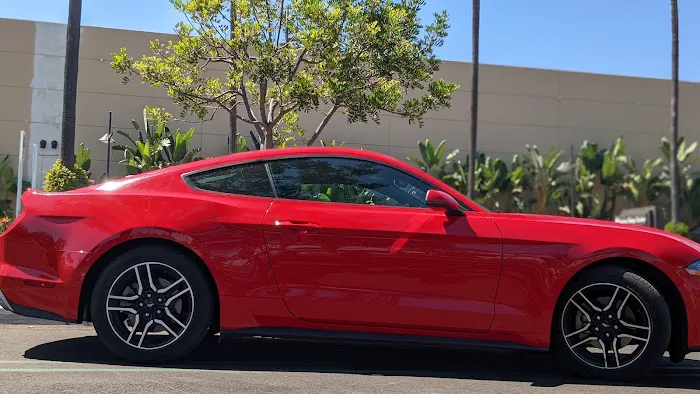 Avis Car Rental Picture 7