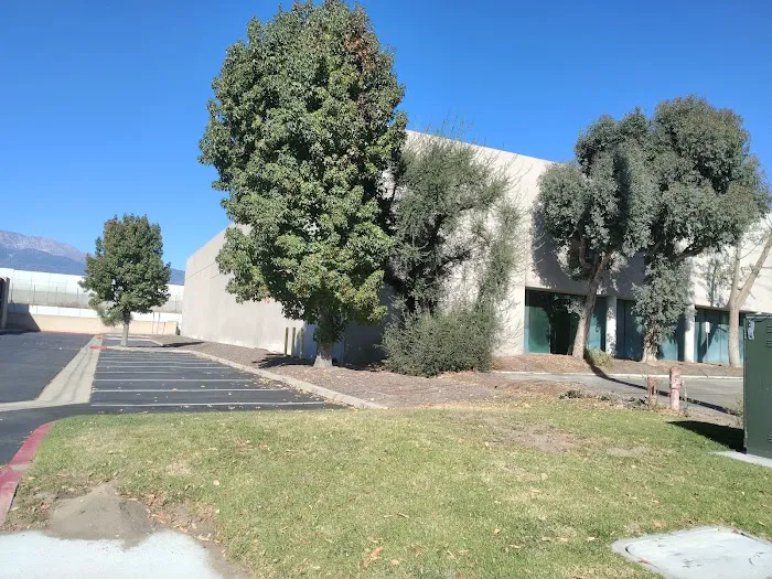 United Auto Rental Picture 5