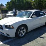 Car Rentals