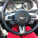 Avis Car Rental